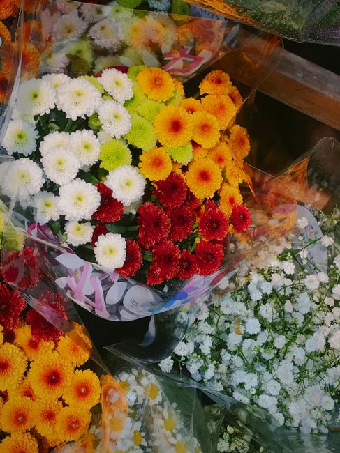 A vibrant bouquet of fresh chrysanthemums featuring white, yellow, orange, and red blooms, wrapped in clear floral cellophane with pink and white ribbon accents. The flowers are arranged in a dense, r